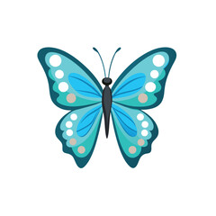 Butterfly Imge, Clean, minimalist design