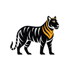 Tiger with white background 