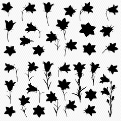 Floral Silhouette Set Delicate Bellflower Designs for Creative Projects and Artistic Compositions, Ideal for Nature-Inspired Decorations