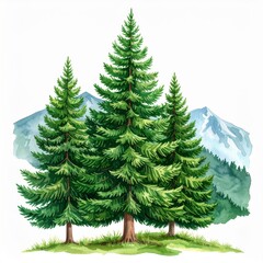 Fototapeta premium Watercolor Illustration of Three Evergreen Trees with Mountain Backdrop