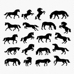 Silhouette Collection Horses in Various Poses - Equestrian Art, Nature, Wildlife, Harmony, Movement