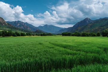 Fototapeta premium Lush Green Wheat Field Under a Blue Sky with Majestic Mountain Range in the Background Vibrant Spring or Summer Landscape Scenery