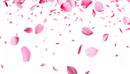 pink petal falling dancing isolated on transparent png
