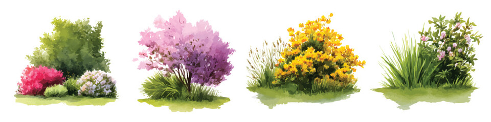 Set watercolor spring flower bushes shrub isolated on transparent background