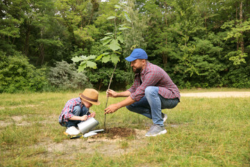 Father and his son planting tree into soil outdoors