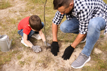 Father and his son planting tree into soil outdoors