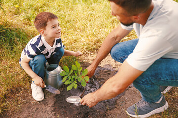 Father and his son planting tree into soil outdoors, closeup