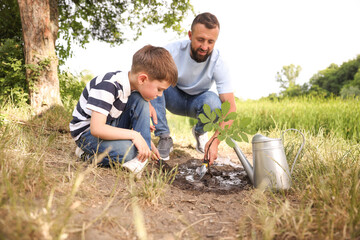 Father and his son planting tree into soil outdoors