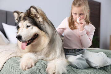 Girl suffering from allergy with her dog on bed at home