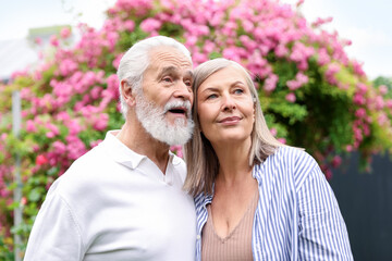 Lovely senior couple near bush of pink roses outdoors