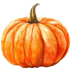 Vibrant orange pumpkin painted in watercolor, isolated on white background. Handmade autumn harvest illustration with visible brushstrokes and natural texture