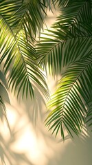 Fototapeta premium Palm Leaf Shadow Overlay Effect