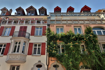 Mit Trompetenblumen bewachsene Hausfassaden in Basel