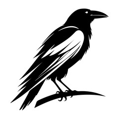 Stylized Raven Crow Bird Vector Illustration