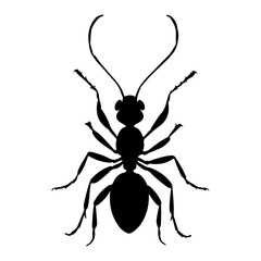 Ant Insect Top View Silhouette Vector