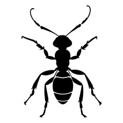 Ant Insect Top View Silhouette Vector