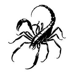 Dangerous Scorpion Insect Vector Illustration