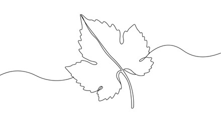 Single elegant grape leaf outline on transparent background  
