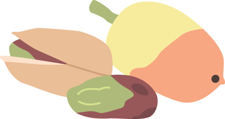 Pistachio nut seed vector illustration