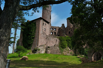 The Majestic and Enigmatic Ruins of an Ancient Castle are Beautifully Surrounded by Lush Greenery