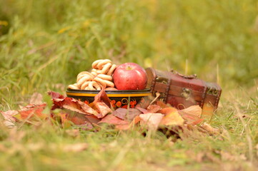 Organic apples in basket in summer grass.