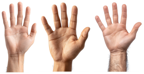 Diverse hands raised in greeting or attention, showcasing different skin tones and textures, against a black background, capturing curiosity, engagement, and unity isolated transparent png