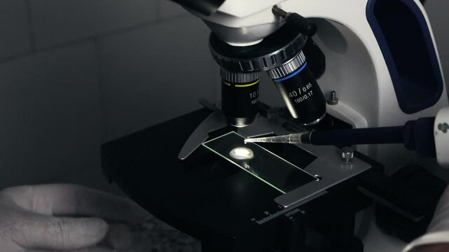 Gloved doctor placing a cover slip over a microscope slide to spread the sample for laboratory analysis, Concept of microbiology, biotechnology, medical research, and clinical diagnostics.