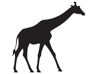 GIRAFFE SILHOUETTE