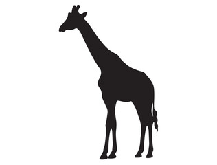 GIRAFFE SILHOUETTE