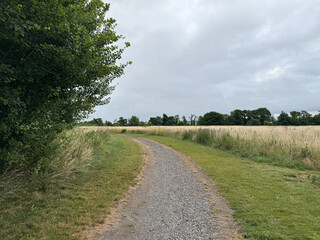 Rural landscape of Wiltshire in the UK.