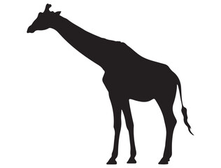 GIRAFFE SILHOUETTE