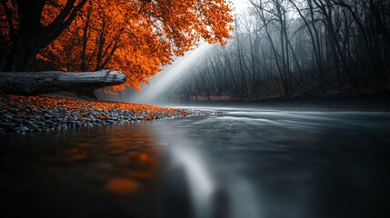 River flows through misty forest with bright autumn foliage
