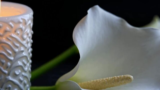 Elegant dance of candlelight and lily: a captivating ballet of light and nature