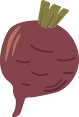 Ripe beetroot vegetable vector illustration