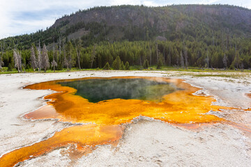Thermal pool in the Black Sand Basin in the Yellowstone National Park, Wyoming