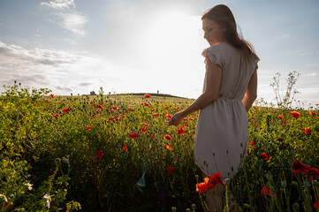 Young woman in a light summer dress walking through a poppy field at sunset. Peaceful countryside...