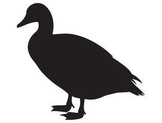 GOOSE SILHOUETTE 