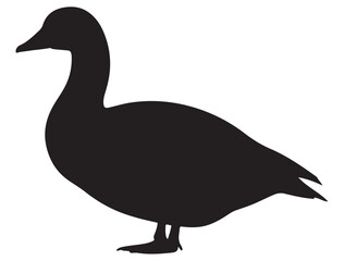 GOOSE SILHOUETTE 