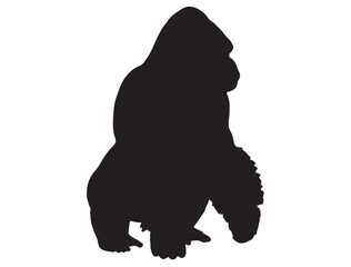 GORILLA SILHOUETTE