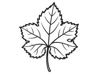 Fototapeta premium GRAPE LEAF SILHOUETTE