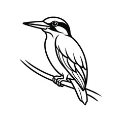 Fototapeta premium A kingfisher line art silhouette vector illustration on white background