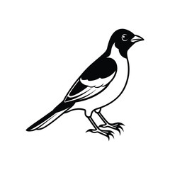 Naklejka premium A mynah line art silhouette vector illustration on white background