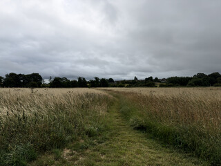 Fototapeta premium Rural landscape of Wiltshire in the UK.