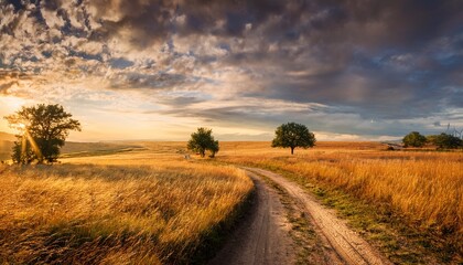 winding dirt road through golden grassy fields at sunset with dramatic clouds and scattered trees creating a peaceful rural landscape