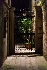 Oświetlona brama z rośliną nocą © Piotr