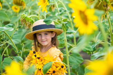 little girl in sunflowers in a field