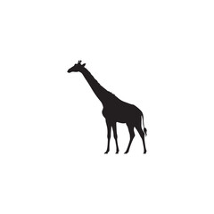 Giraffe Silhouette