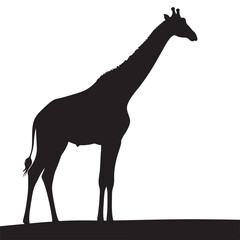 Giraffe Silhouette