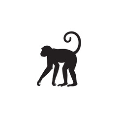 Monkey Silhouette