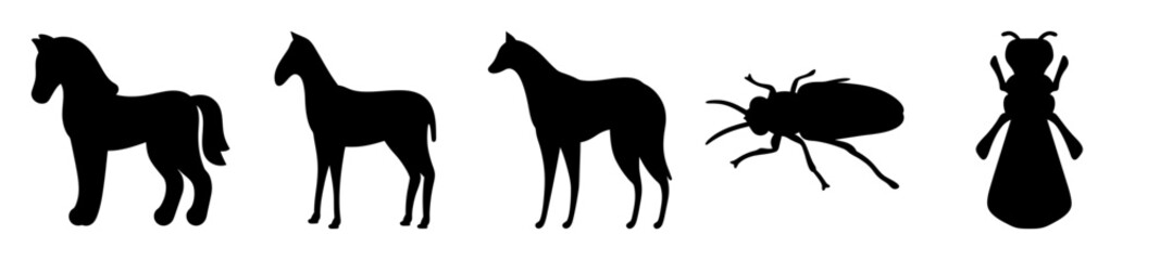 Animal silhouttes arranged from left to right horses beetle and ant